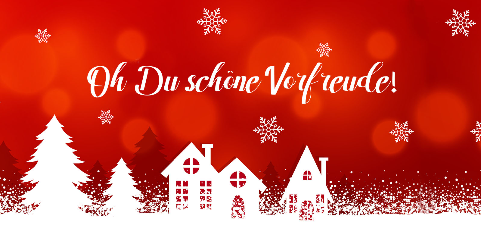 Read more about the article Unser Weihnachtsprogramm in Landshut